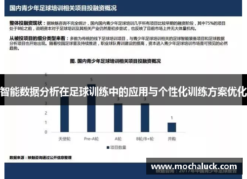 智能数据分析在足球训练中的应用与个性化训练方案优化